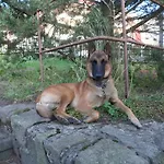 Гостевой дом Mikulka